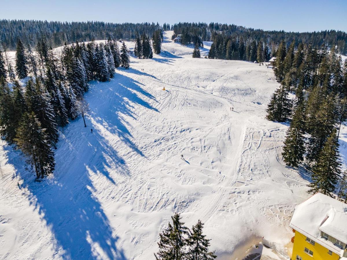 Feldberg Domizil - Residenz Grafenmatt Daire Rinken Dış mekan fotoğraf