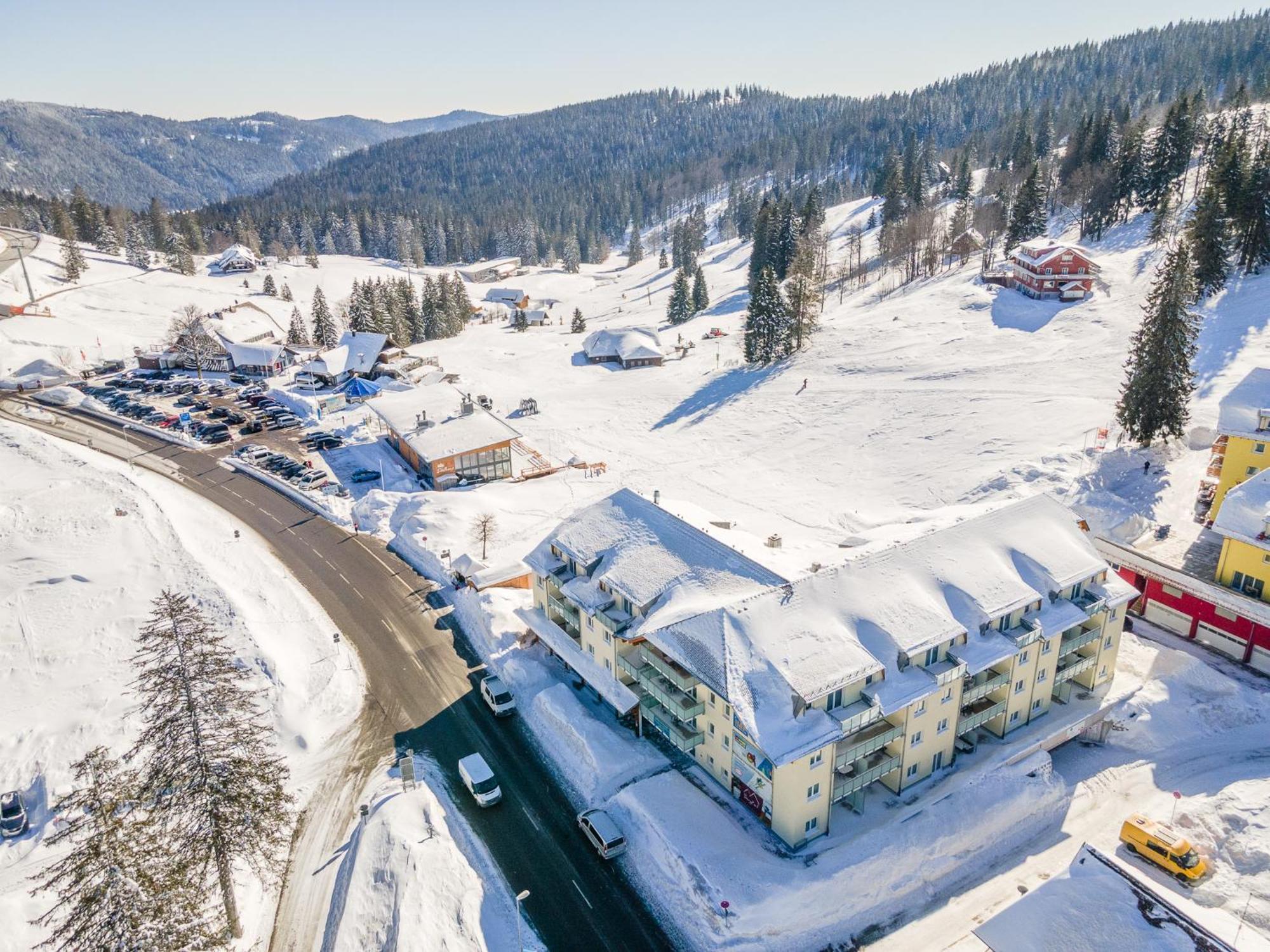 Feldberg Domizil - Residenz Grafenmatt Daire Rinken Dış mekan fotoğraf