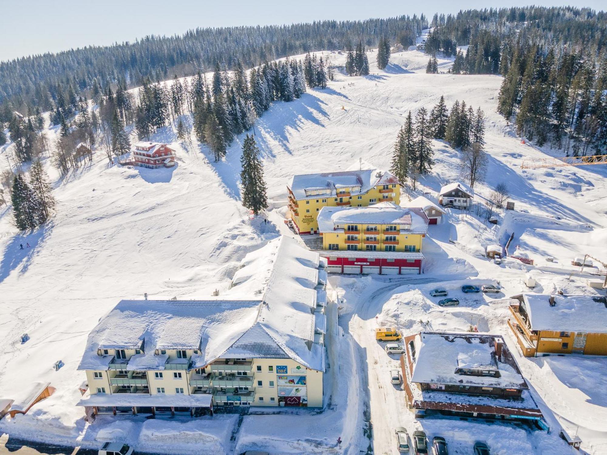 Feldberg Domizil - Residenz Grafenmatt Daire Rinken Dış mekan fotoğraf
