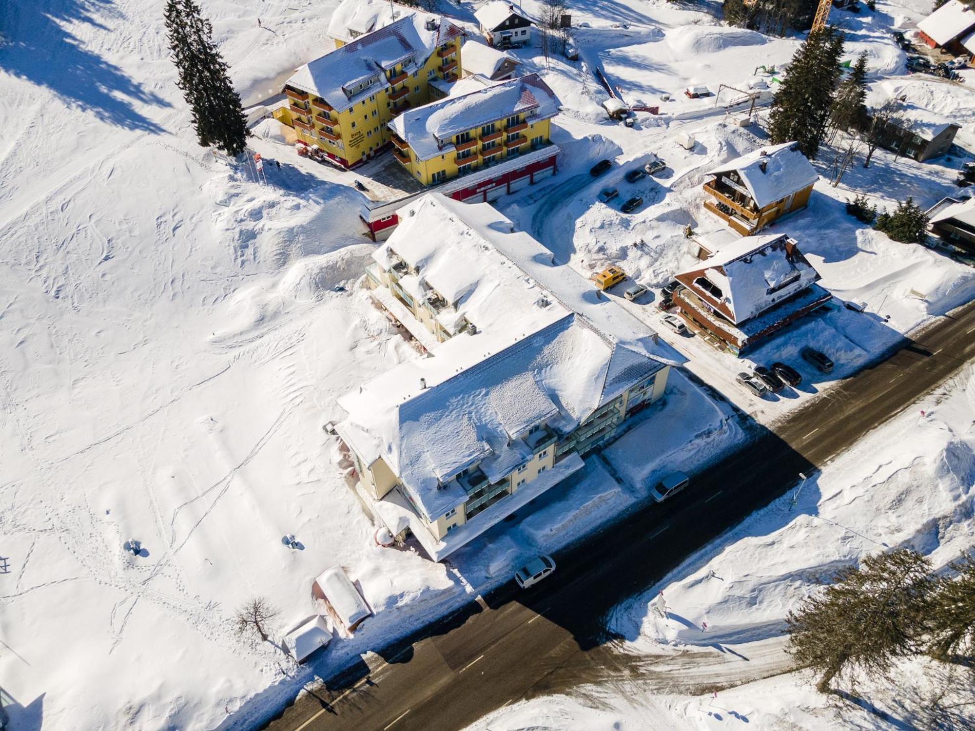 Feldberg Domizil - Residenz Grafenmatt Daire Rinken Dış mekan fotoğraf