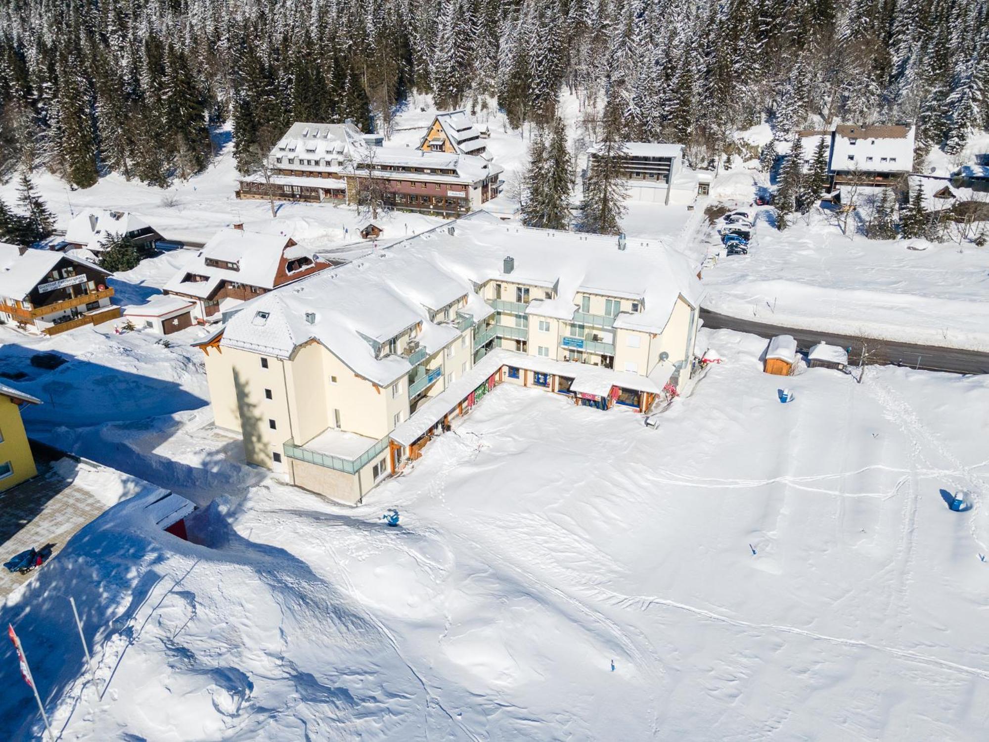 Feldberg Domizil - Residenz Grafenmatt Daire Rinken Dış mekan fotoğraf
