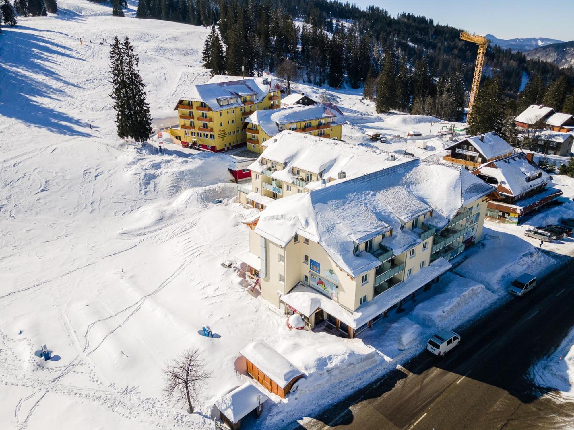 Feldberg Domizil - Residenz Grafenmatt Daire Rinken Dış mekan fotoğraf