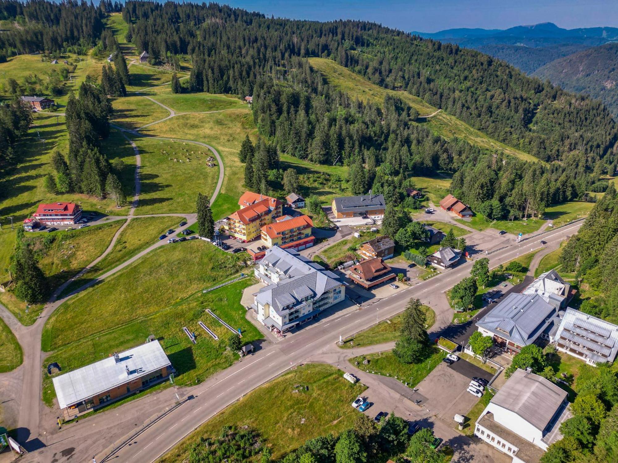 Feldberg Domizil - Residenz Grafenmatt Daire Rinken Dış mekan fotoğraf
