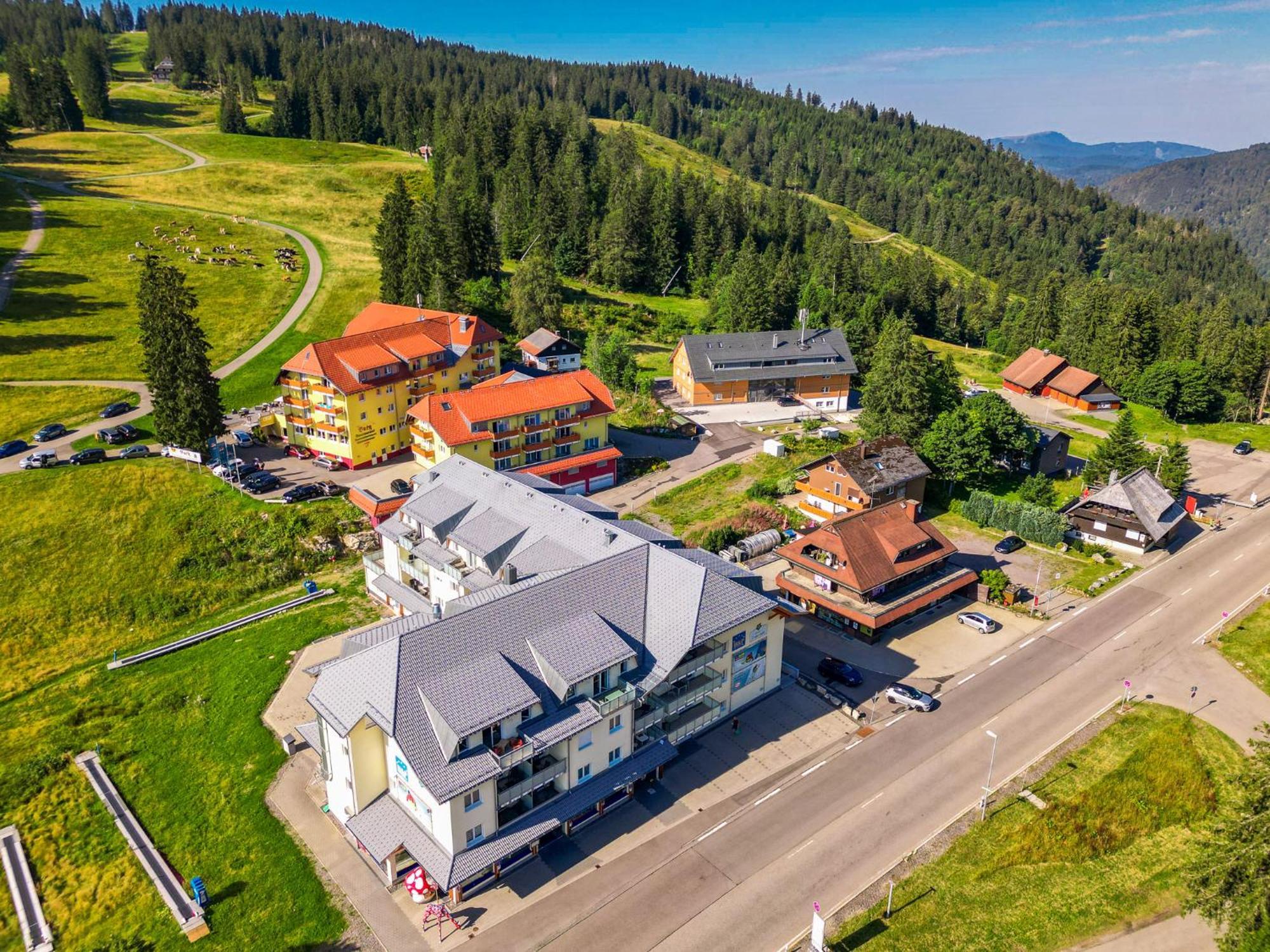 Feldberg Domizil - Residenz Grafenmatt Daire Rinken Dış mekan fotoğraf