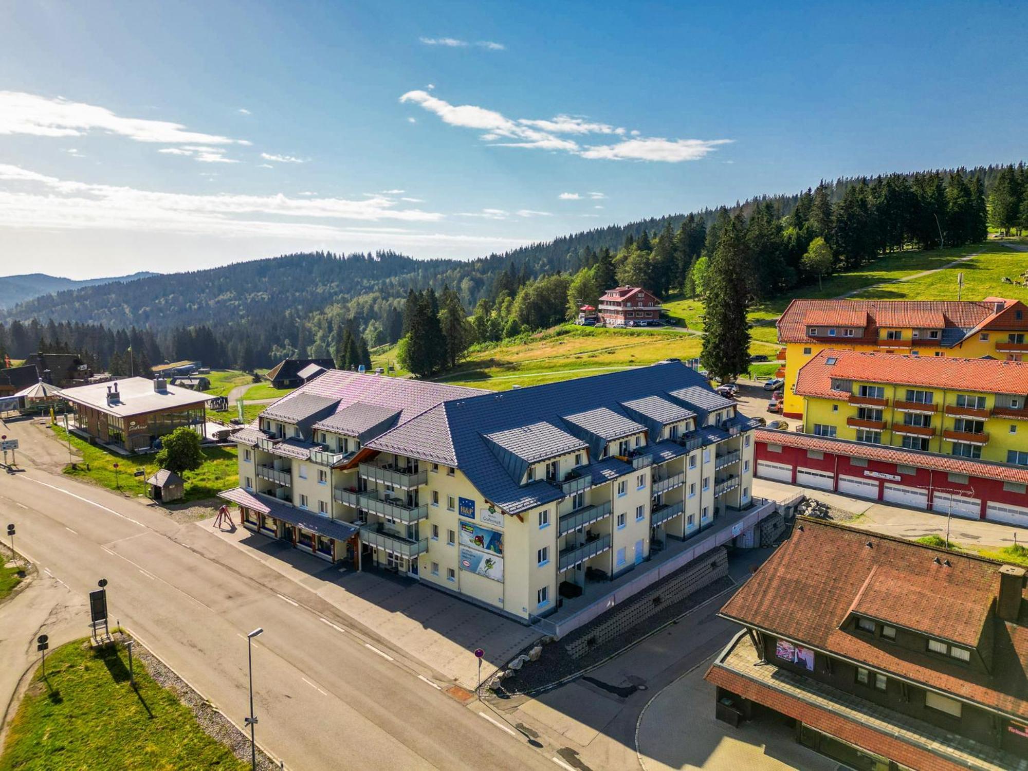 Feldberg Domizil - Residenz Grafenmatt Daire Rinken Dış mekan fotoğraf