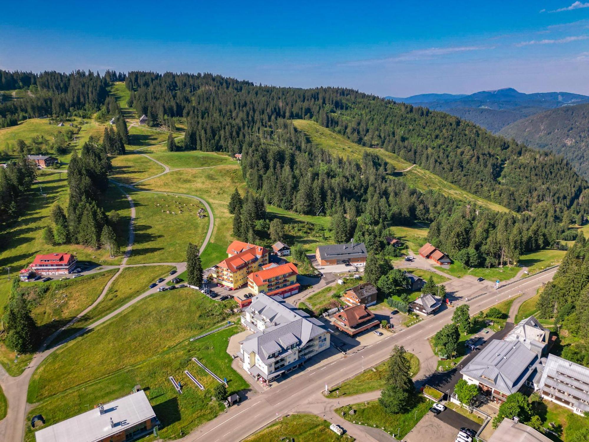 Feldberg Domizil - Residenz Grafenmatt Daire Rinken Dış mekan fotoğraf