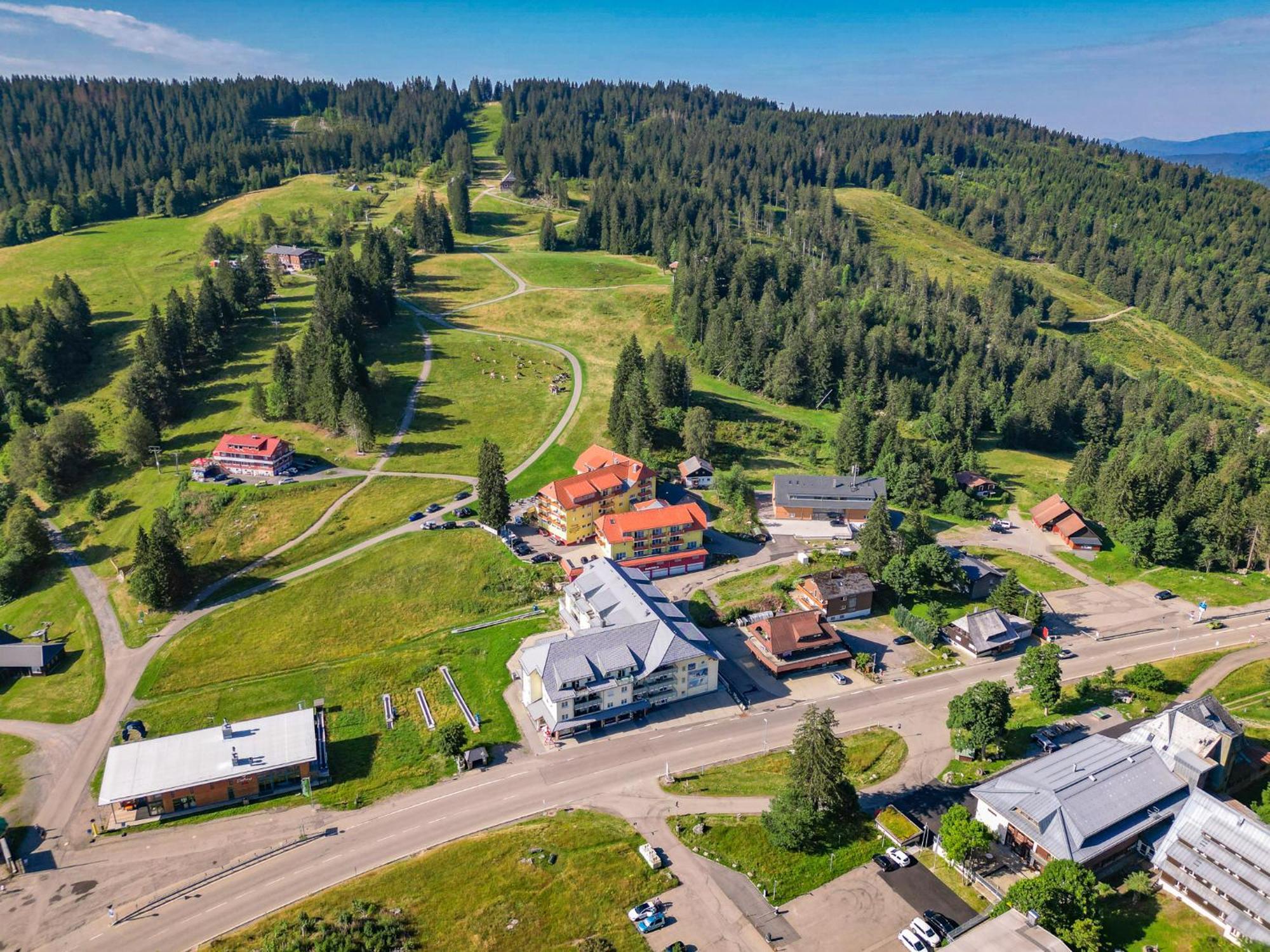 Feldberg Domizil - Residenz Grafenmatt Daire Rinken Dış mekan fotoğraf