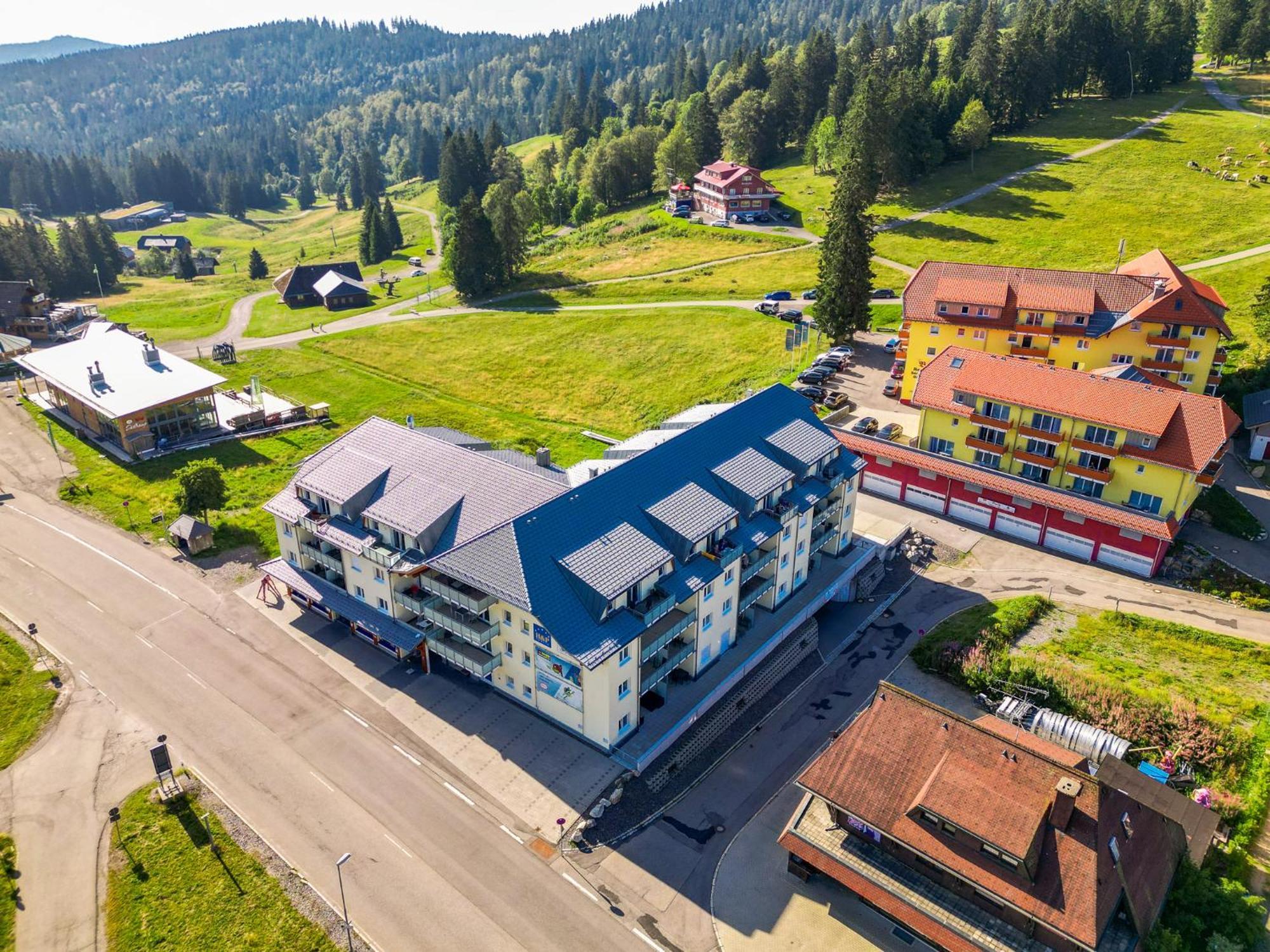 Feldberg Domizil - Residenz Grafenmatt Daire Rinken Dış mekan fotoğraf