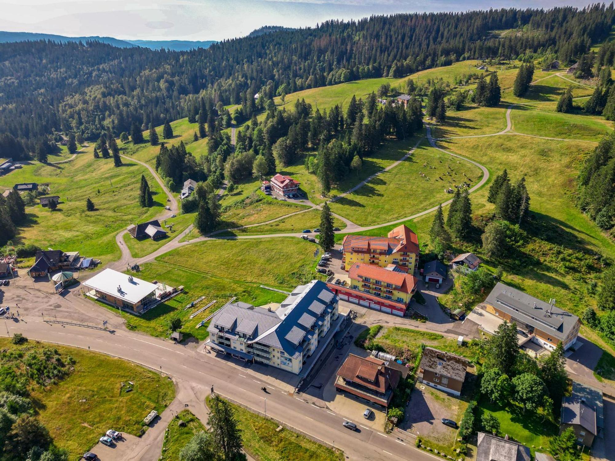 Feldberg Domizil - Residenz Grafenmatt Daire Rinken Dış mekan fotoğraf